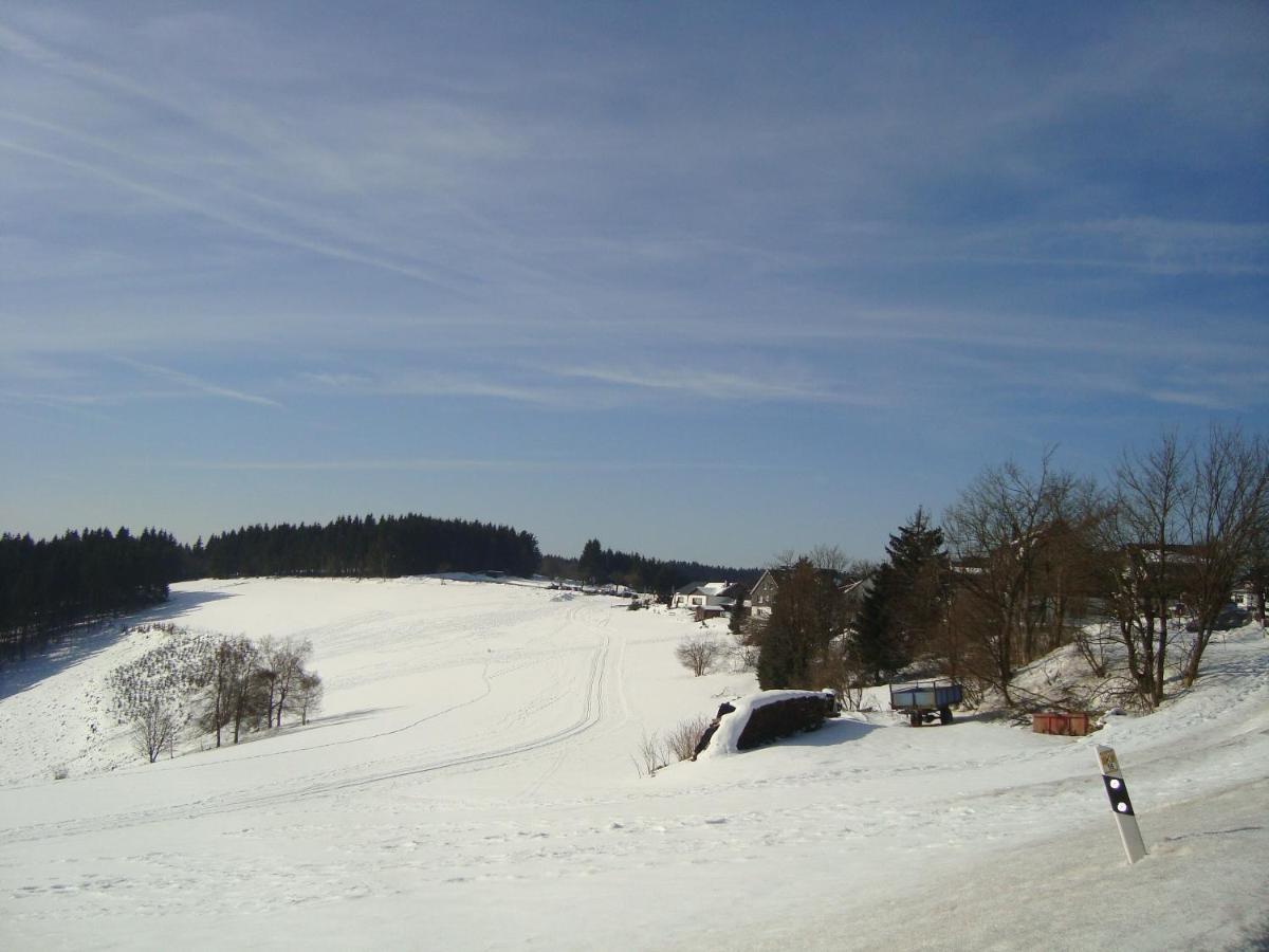 Appartement An Der Erlebniskappe Mit Fahrradkeller Winterberg Esterno foto